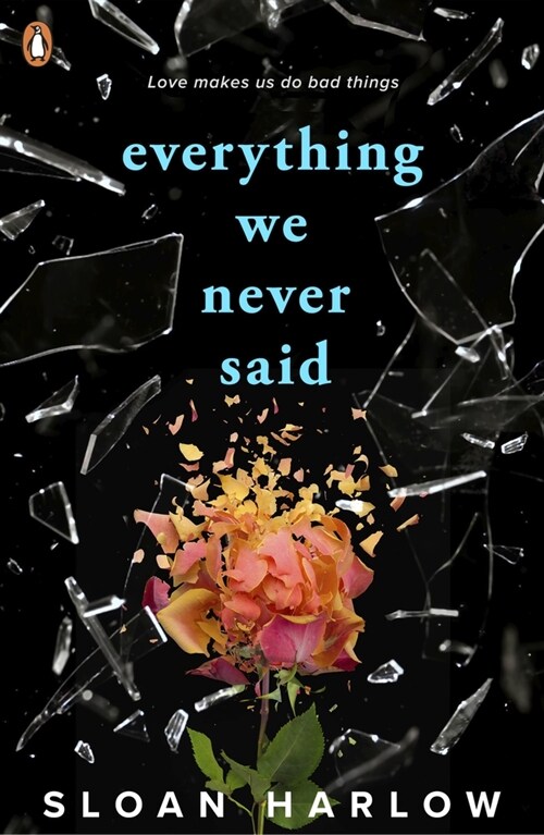 Everything We Never Said (Paperback)