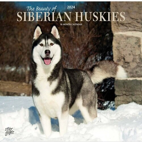 SIBERIAN HUSKIES THE BEAUTY OF 2024 DELU (Paperback)