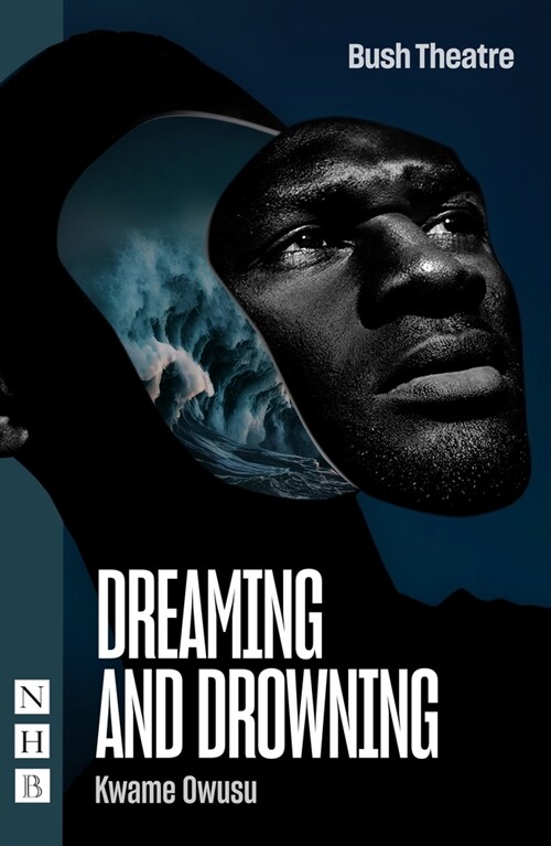 Dreaming and Drowning (Paperback)