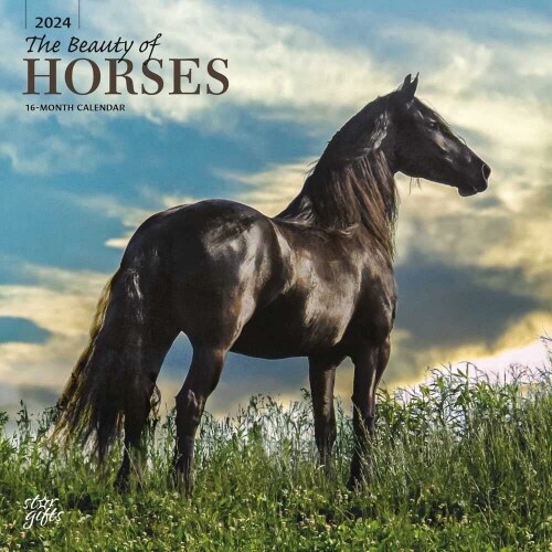 HORSES THE BEAUTY OF 2024 SQUARE STKR ST (Paperback)