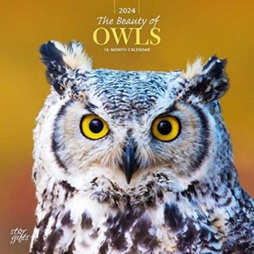 OWLS THE BEAUTY OF 2024 SQUARE STKR STAR (Paperback)
