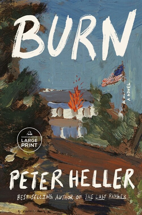 Burn (Paperback)