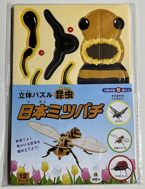 立體パズル 昆蟲 日本ミツバチ