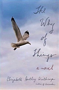 The Why of Things (Paperback)