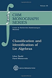 Classification and Identification of Lie Algebras (Hardcover)