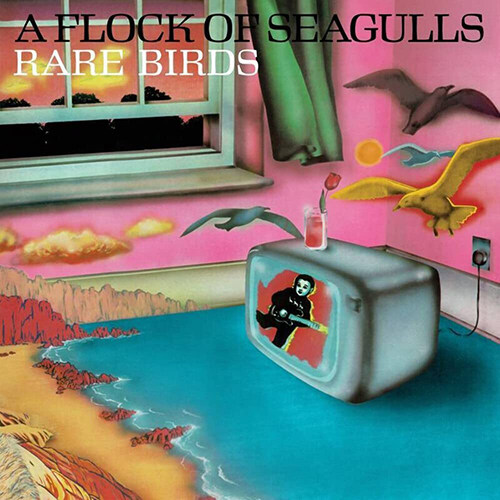 [수입] A Flock of Seagulls - Rare Birds (B-Sides, Edits & Alternate Mixes)[Transparent LP]