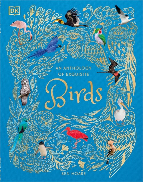 An Anthology of Exquisite Birds (Hardcover)