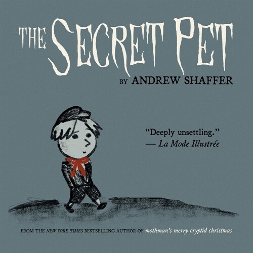 The Secret Pet (Paperback)