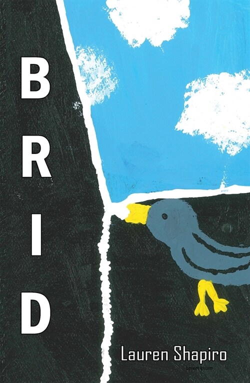 Brid (Paperback)