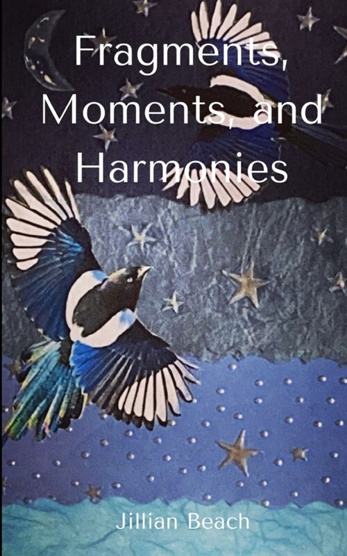 Fragments, Moments, and Harmonies (Paperback)