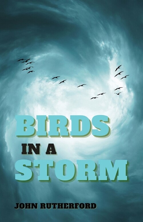 Birds in a Storm (Paperback)