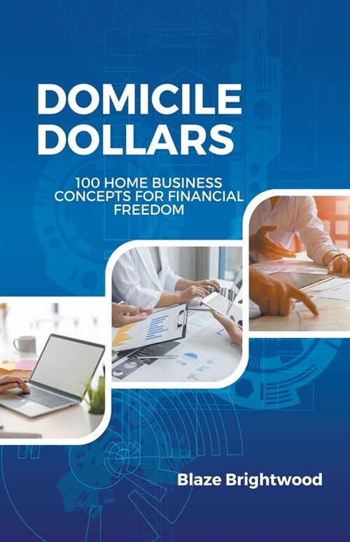 Domicile Dollars: 100 Home Business Concepts for Finanacial Freedom (Paperback)