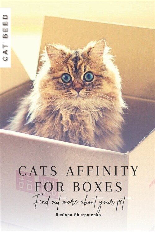 Cats Affinity for Boxes: Find out more about your pet (Paperback)