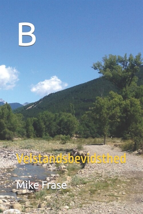 B: Velstandsbevidsthed (Paperback)