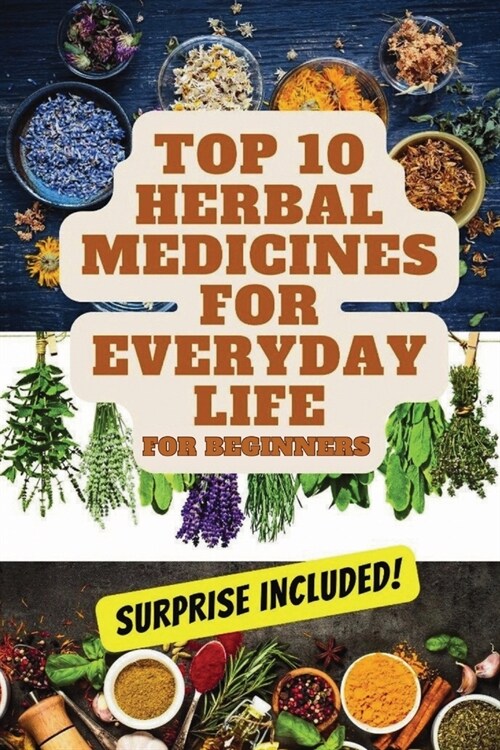 Top 10 Herbal Medicines for Everyday Life for Beginners (Paperback)
