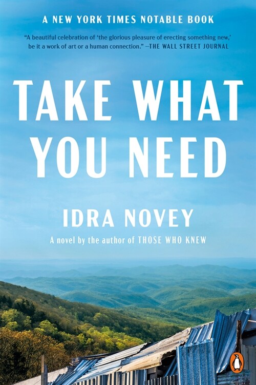 Take What You Need (Paperback)