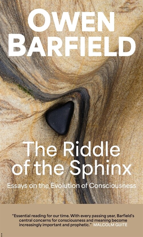 The Riddle of the Sphinx: Essays on the Evolution of Consciousness (Hardcover)