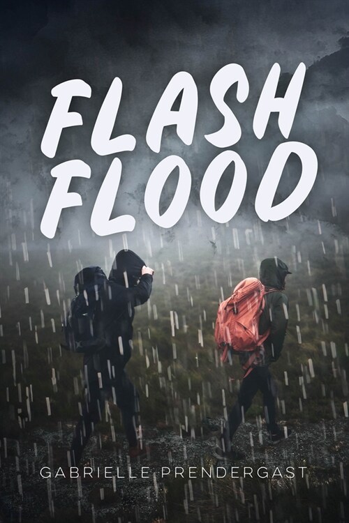 Flash Flood (Paperback)