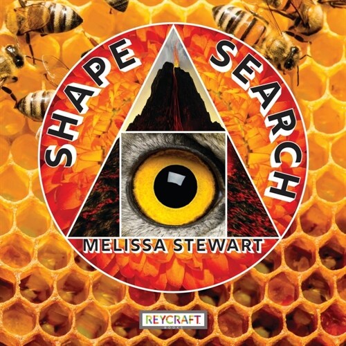 Shape Search (Hardcover)