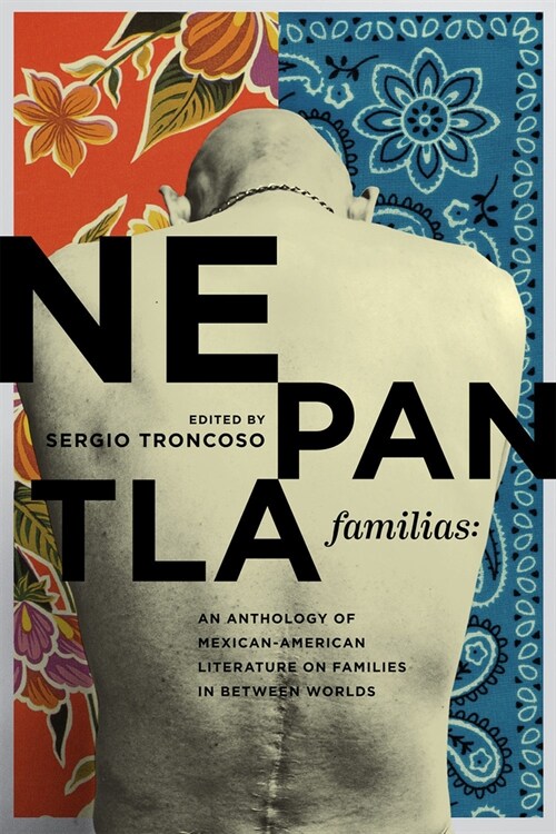 Nepantla Familias: An Anthology of Mexican American Literature on Families in Between Worlds (Paperback)