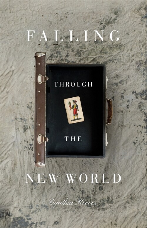 Falling Through the New World (Paperback)