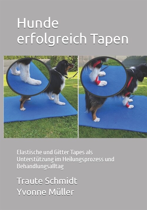 Hunde erfolgreich Tapen: Elastische und Gitter Tapes als Unterst?zung im Heilungsprozess und Behandlungsalltag (Paperback)