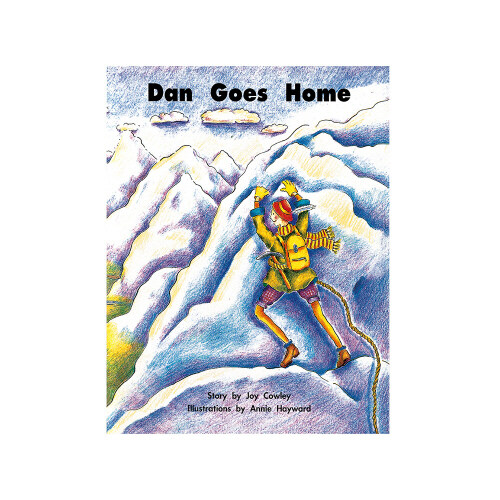 노부영 위시워시 Wishy-Washy 14 Dan Goes Home (Paperback)