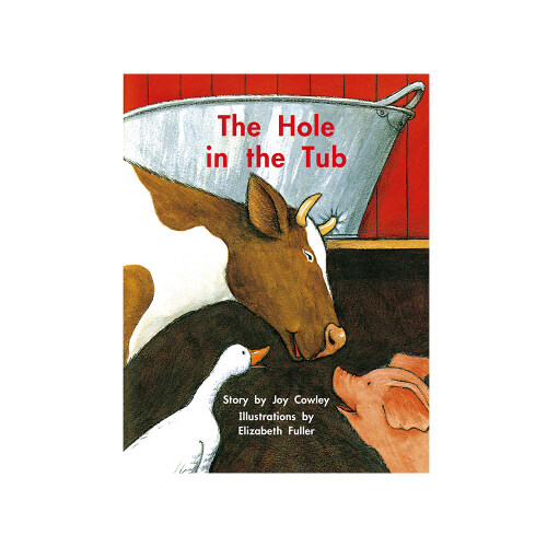 노부영 위시워시 Wishy-Washy 17 The Hole in the Tub (Paperback )