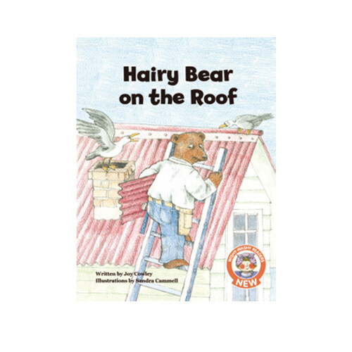 노부영 뉴위시워시 New Wishy-Washy 03 Hairy Bear on the Roof (Paperback )