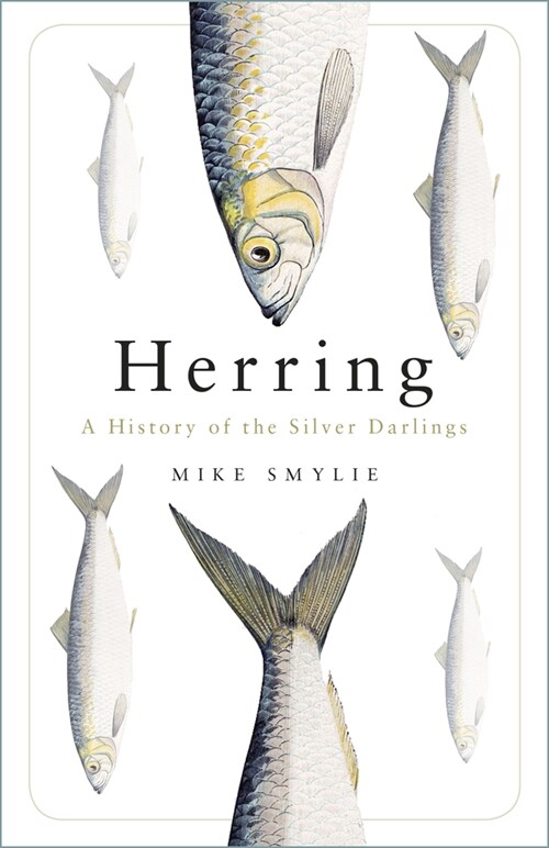 Herring : A History of the Silver Darlings (Paperback, New ed)