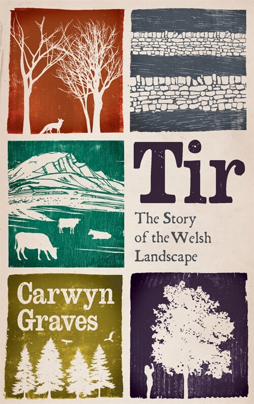 Tir : The Story of the Welsh Landscape (Hardcover)
