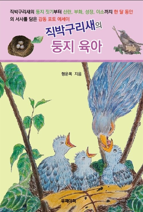 직박구리새의 둥지 육아