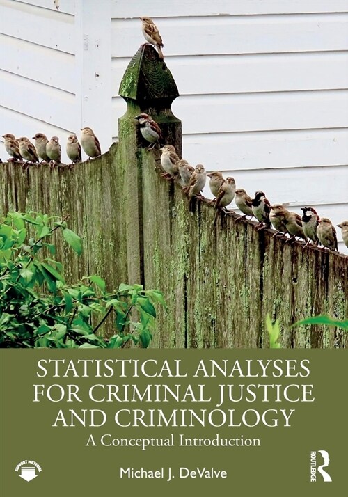 Statistical Analyses for Criminal Justice and Criminology : A Conceptual Introduction (Paperback)