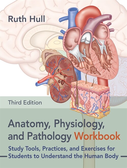 Anatomy, Physiology, and Pathology Workbook, Third Edition: Study Tools, Practices, and Exercises for Students to Understand the Human Body (Paperback)