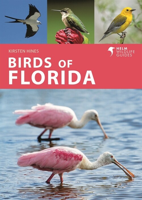 Birds of Florida (Paperback)