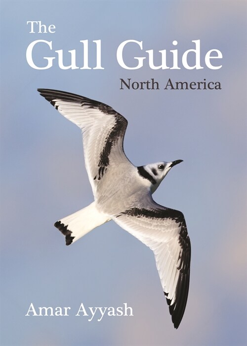 The Gull Guide: North America (Paperback)