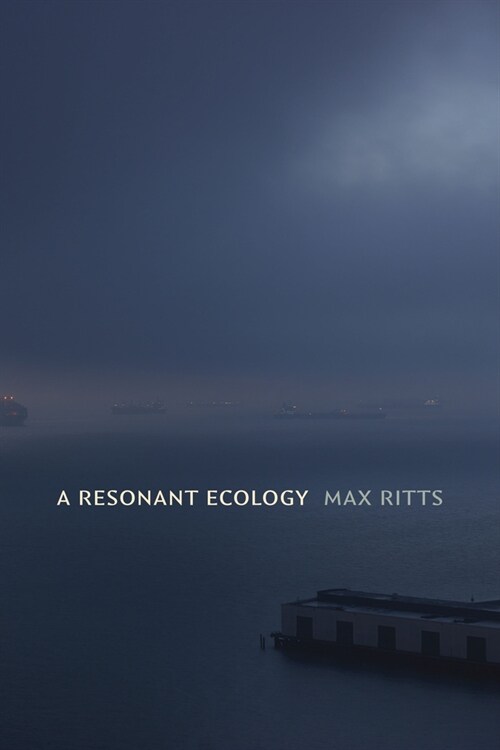 A Resonant Ecology (Hardcover)