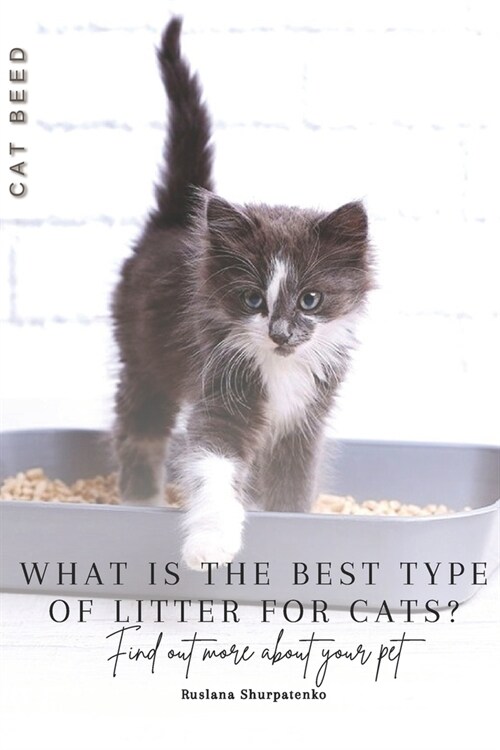 What is the best type of litter for cats?: Find out more about your pet (Paperback)