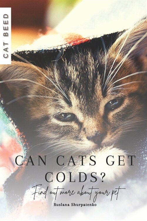 Can cats get colds?: Find out more about your pet (Paperback)