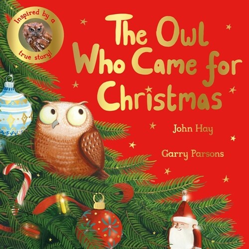 The Owl Who Came for Christmas (Hardcover)