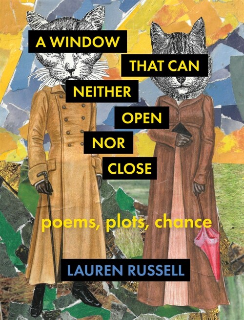 A Window That Can Neither Open Nor Close: Poems, Plots, Chance (Paperback)