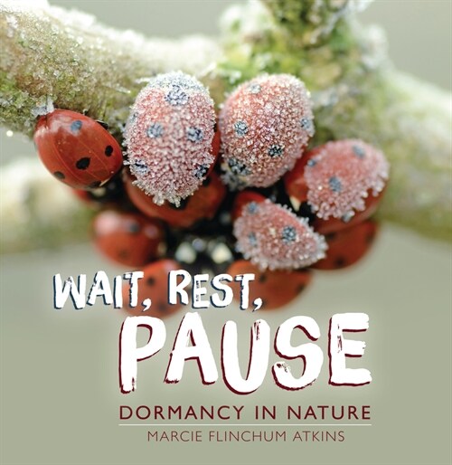 Wait, Rest, Pause: Dormancy in Nature (Paperback)