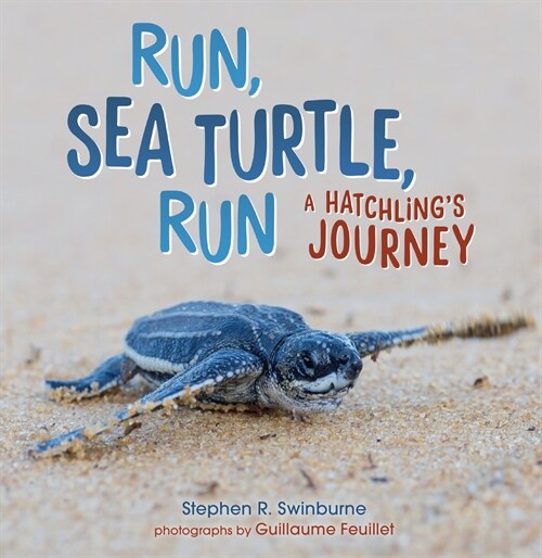 Run, Sea Turtle, Run: A Hatchlings Journey (Paperback)