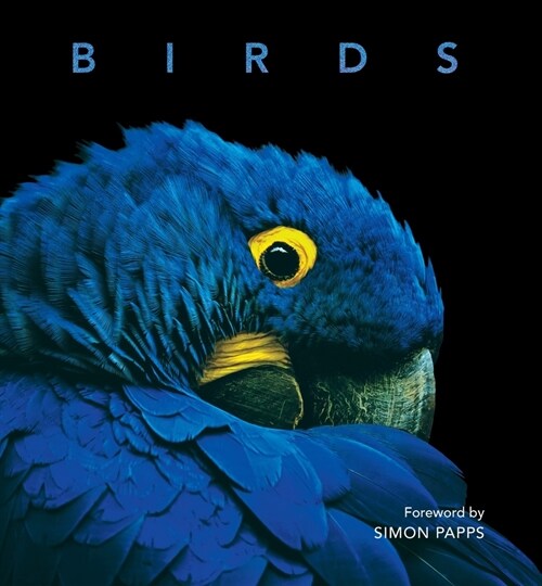 Birds (Hardcover)