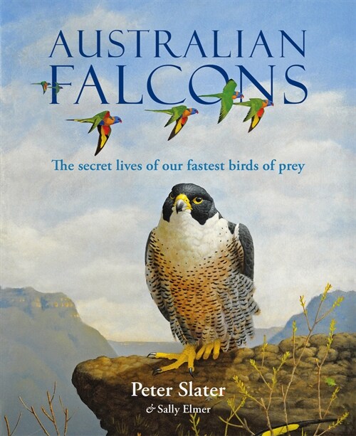 Australian Falcons (Hardcover)