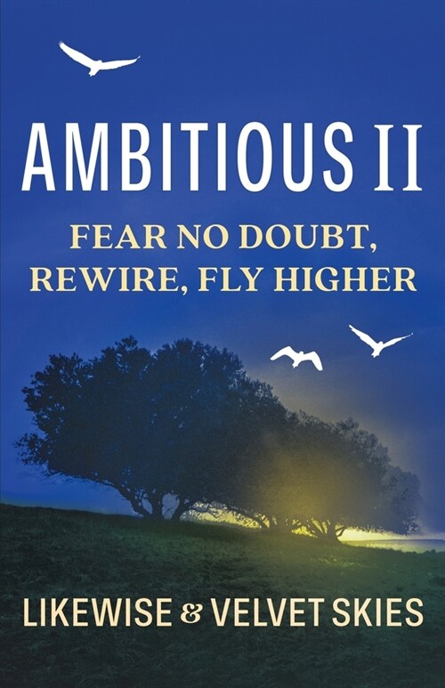 Ambitious II: Fear No Doubt, Rewire, Fly Higher (Paperback)