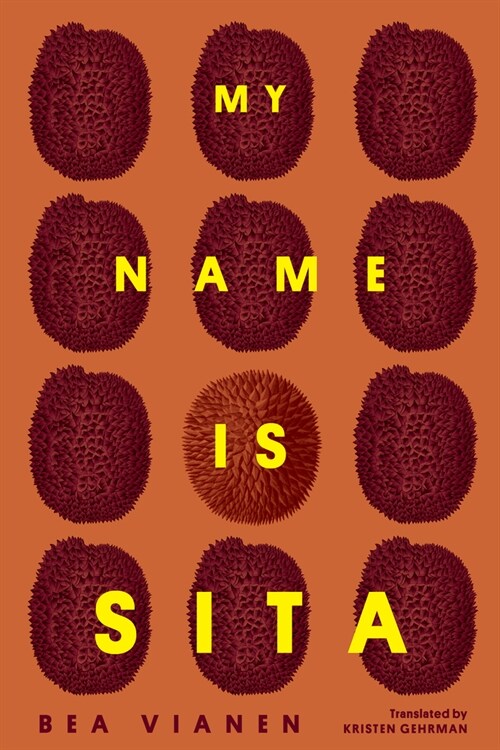 My Name Is Sita (Paperback)