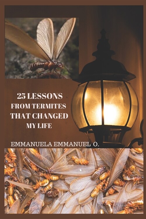 25 Lessons from Termites That Changed My Life: 25 Success Principles (Paperback)