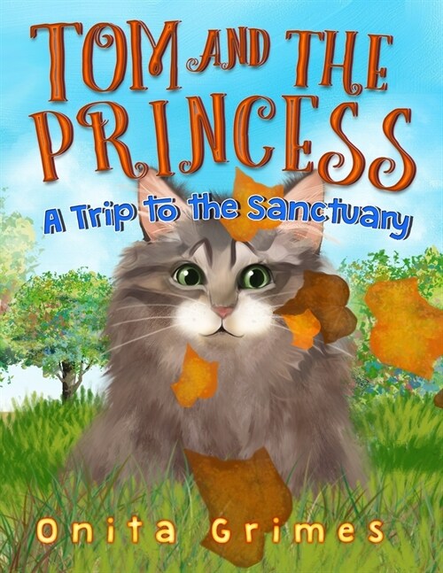 Tom and the Princess: A Trip to the Sanctuary (Paperback)