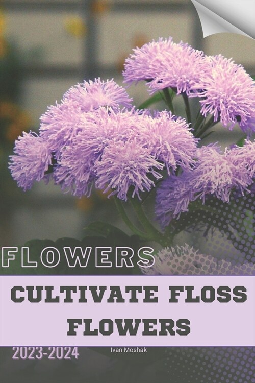 Cultivate Floss Flowers: Become flowers expert (Paperback)